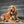 Load image into Gallery viewer, Ranger Badge Shape Brass Dog ID Tag