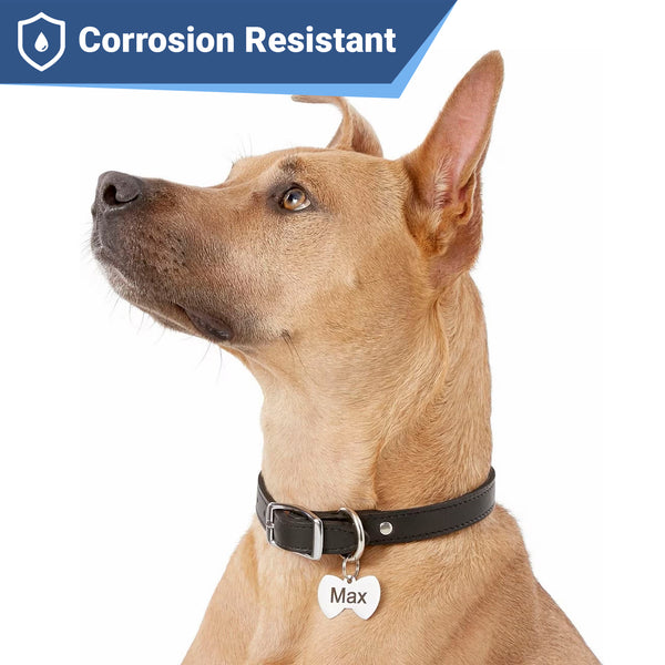 Bow Tie Pet ID Tag in Stainless Steel