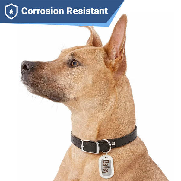 Rectangle Dog ID Tag in Stainless Steel