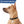 Load image into Gallery viewer, Round Pet ID Tag in Stainless Steel