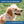 Load image into Gallery viewer, Personalized Cotton Hemp Dog Collar with Custom Engraved Nameplate