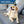 Load image into Gallery viewer, Personalized Cotton Hemp Dog Collar with Custom Engraved Nameplate