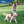 Load image into Gallery viewer, Personalized Dog Harness with Reflective Strap - Black