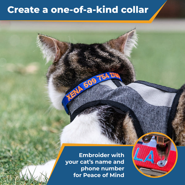 Personalized Embroidered Cat Collar with Breakaway Buckle