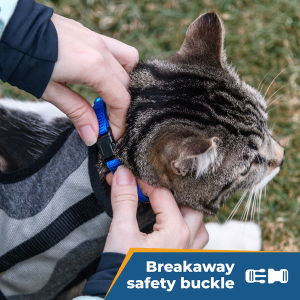 Personalized Embroidered Cat Collar with Breakaway Buckle