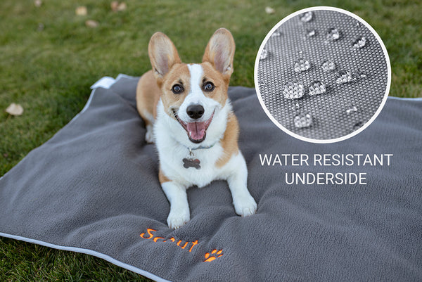 Personalized Dog Blankets, Fleece, Water Resistant