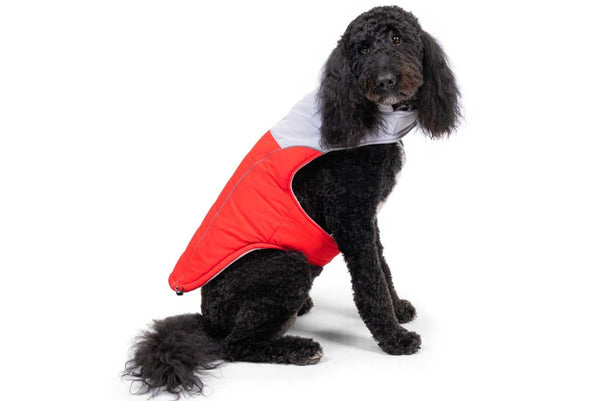 GoTags Insulated Dog Coat, Winter Dog Vest