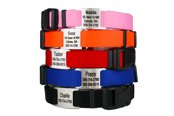 GoTags Personalized Dog Collars with Slide on Tag Nameplate