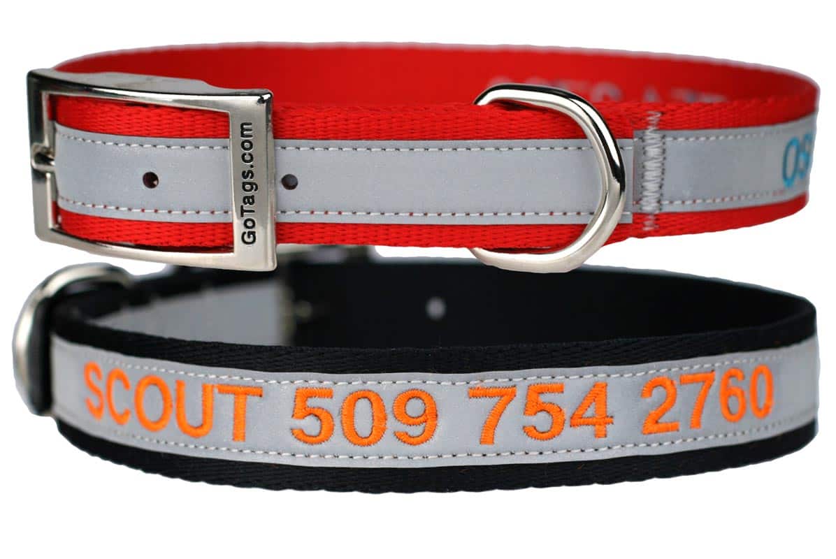 Embroidered dog collars with metal buckle new arrivals