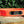 Load image into Gallery viewer, GoTags Personalized Waterproof Orange Hunting Dog Collars with Rivet on Nameplate ID Tag Engraved