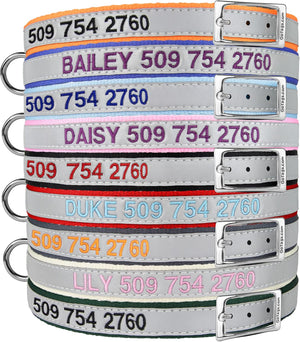 Front view of personalized reflective dog collars showcasing embroidered identification and metal buckles on white background
