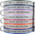 Reflective dog collar showcasing engraved ID text, colored trim, and quick-release buckle on white background