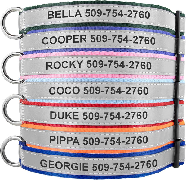 Reflective dog collar showcasing engraved ID text, colored trim, and quick-release buckle on white background