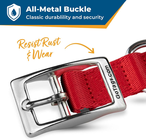 Personalized Embroidered Dog Collar with Metal Buckle