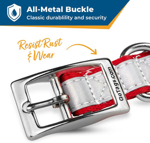 Close up of personalized embroidered reflective dog collar showcasing all metal buckle and reflective webbing