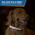 Close-up of a dog wearing a red personalized reflective collar for 24/7 visibility, with Stay Safe Day and Night text