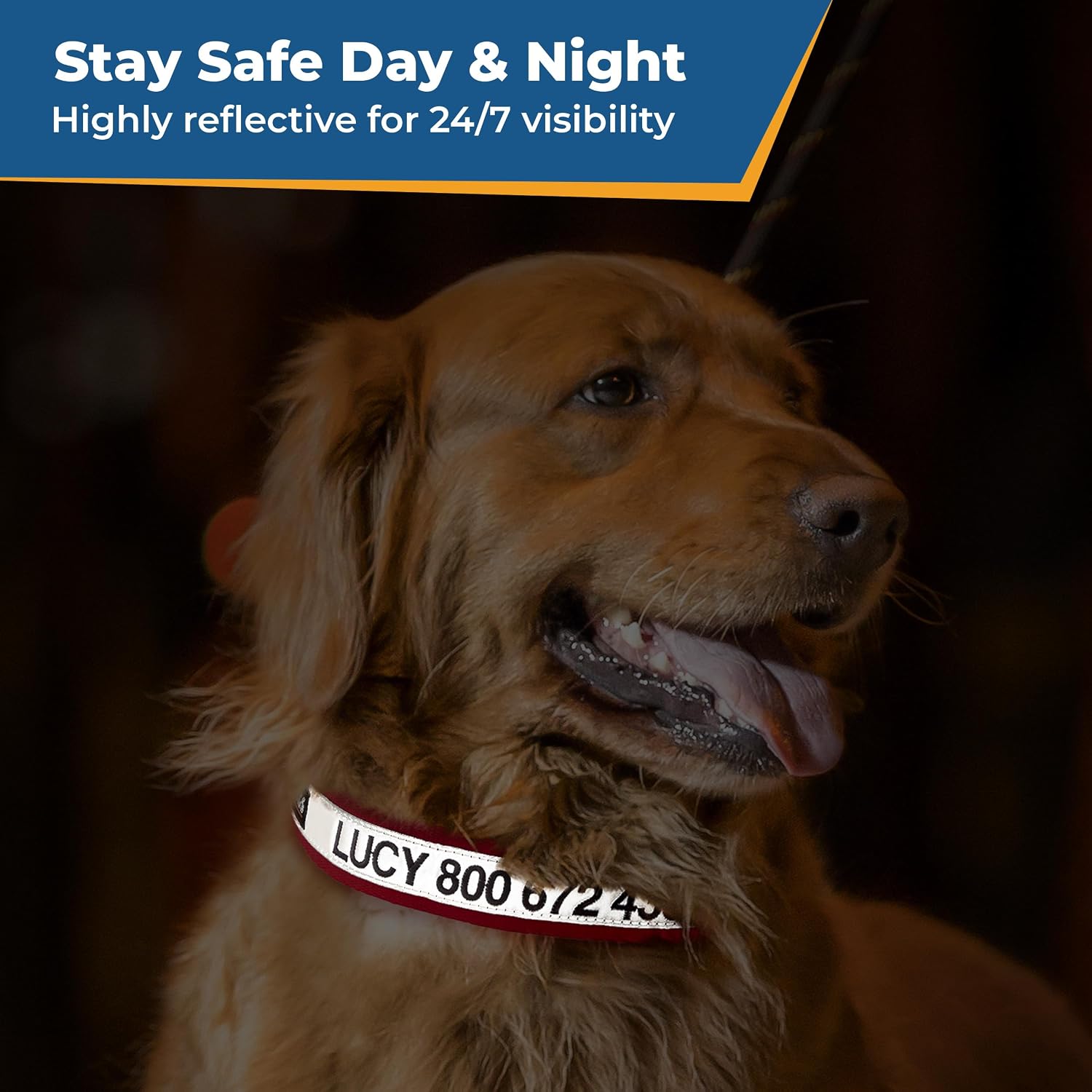 Close-up of a dog wearing a red personalized reflective collar for 24/7 visibility, with Stay Safe Day and Night text