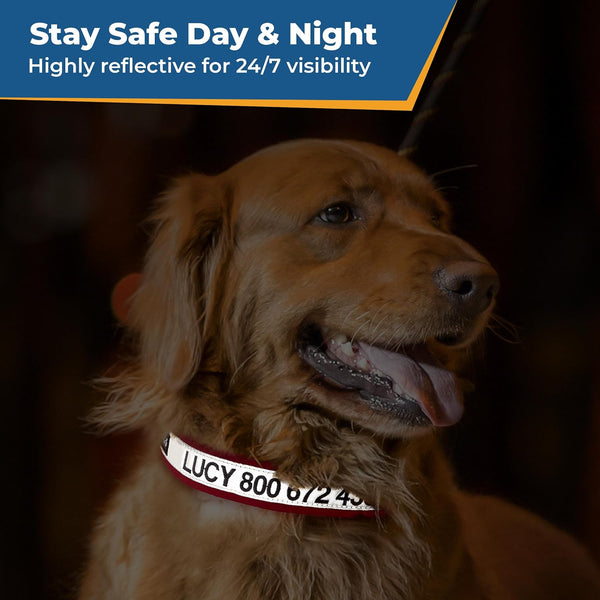 Close-up of a dog wearing a red personalized reflective collar for 24/7 visibility, with Stay Safe Day and Night text