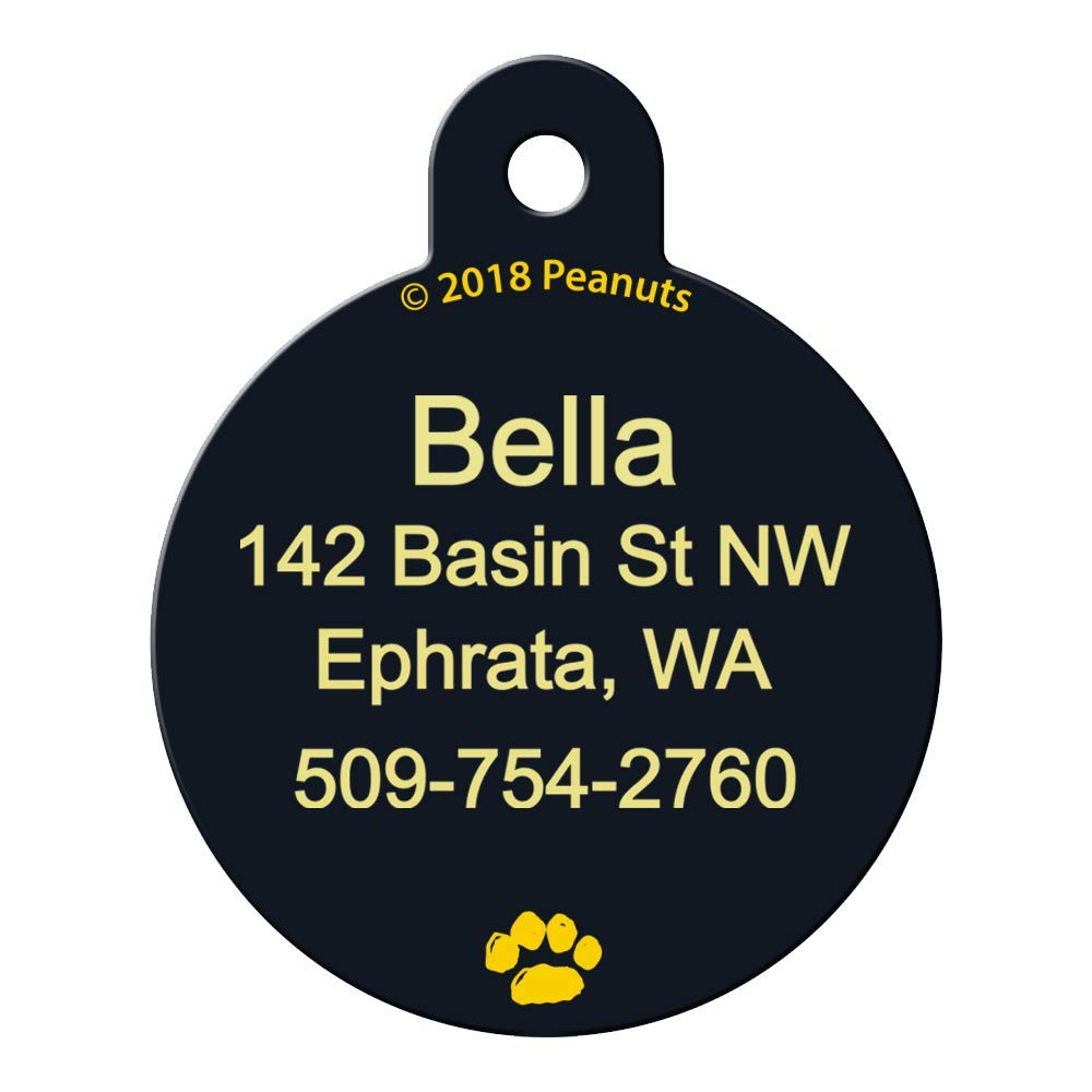 Front view of round Peanuts brass dog ID tag showing Charlie Brown artwork and example 3-line engraved personalization on black background