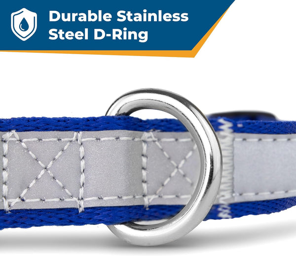 Close-up of Personalized Engraved Reflective Dog Collar showcasing durable stainless steel D-ring on a white background