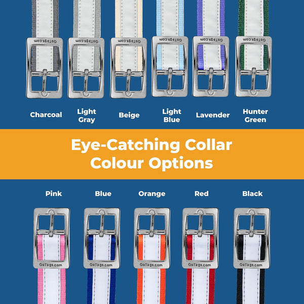 Personalized Embroidered Reflective Dog Collar with Metal Buckle