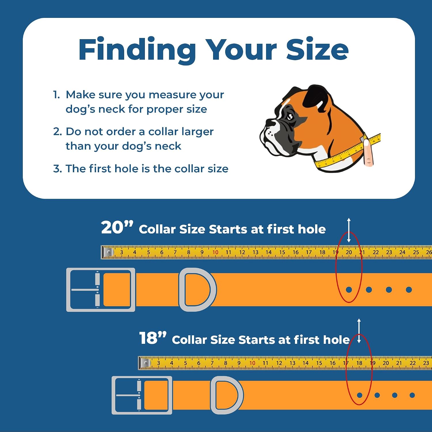Personalized Reflective Waterproof Dog Collar