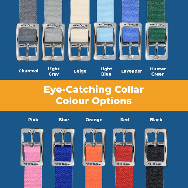 Personalized Embroidered Dog Collar with Metal Buckle