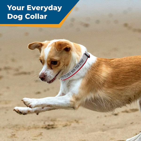 Personalized Engraved Reflective Dog Collar with Quick Release Buckle