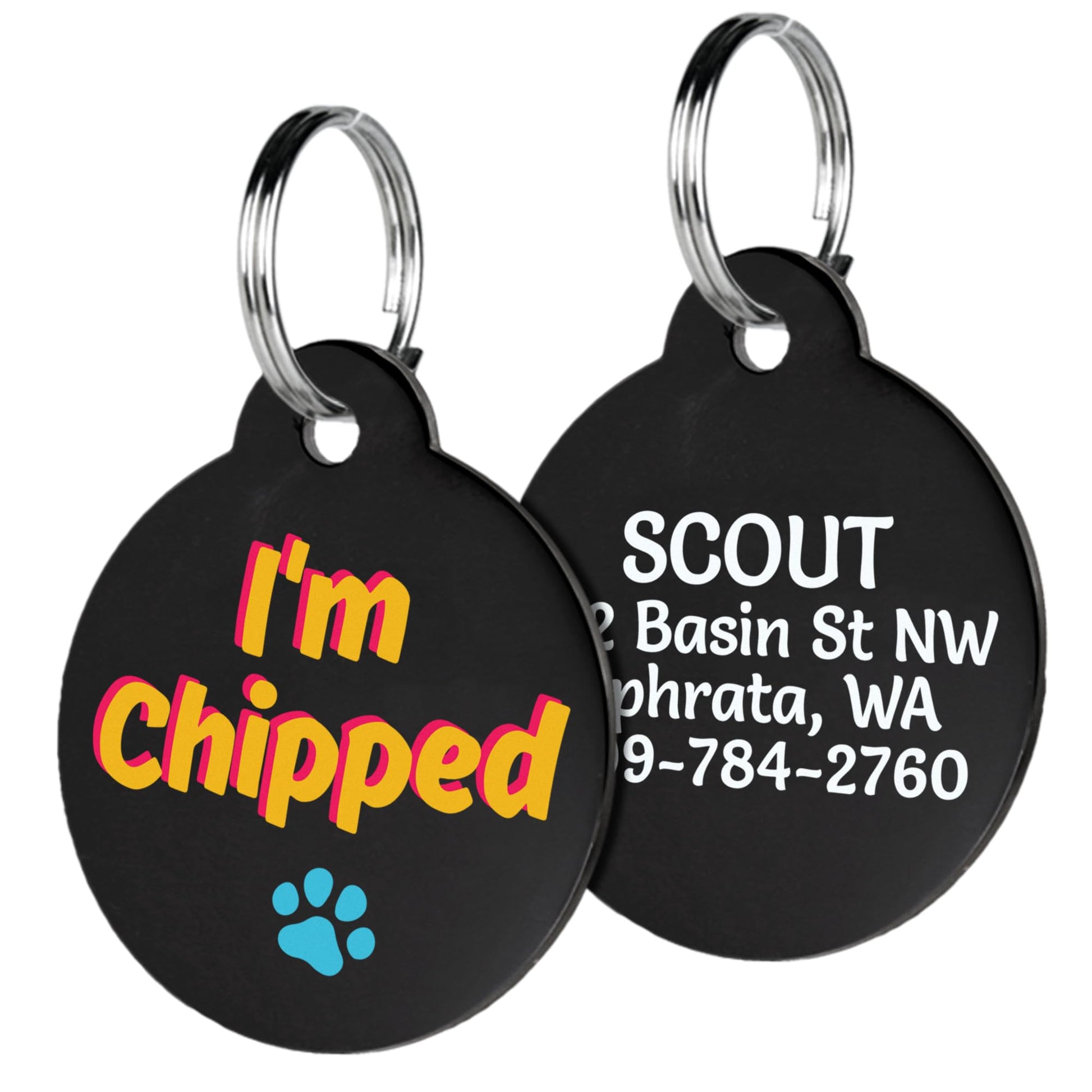 Close-up of two black acrylic dog ID tags with colorful ‘I’m chipped’ front, white personalized back text, silver split rings