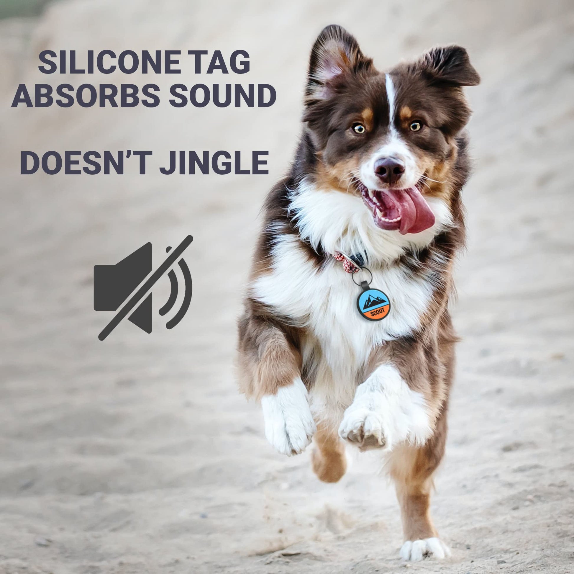 Two-Tone Silent Silicone Dog ID Tag