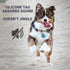 Silent Silicone Funny Dog ID Tag