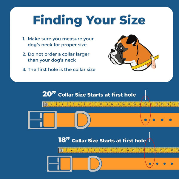 Personalized Embroidered Reflective Dog Collar with Metal Buckle
