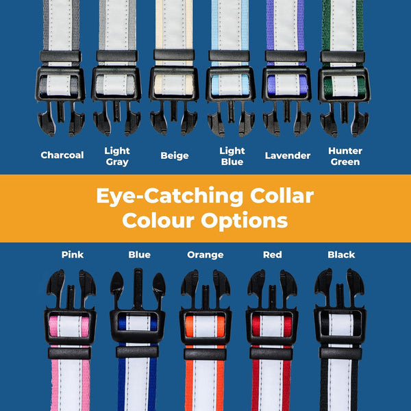 Personalized Engraved Reflective Dog Collar with Quick Release Buckle