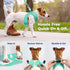 GoTags Personalized Step-in Air Harness, Comfortable Mesh No Pull Harness for Dogs and Cats, Quick Hook & Loop Fastener, Buck