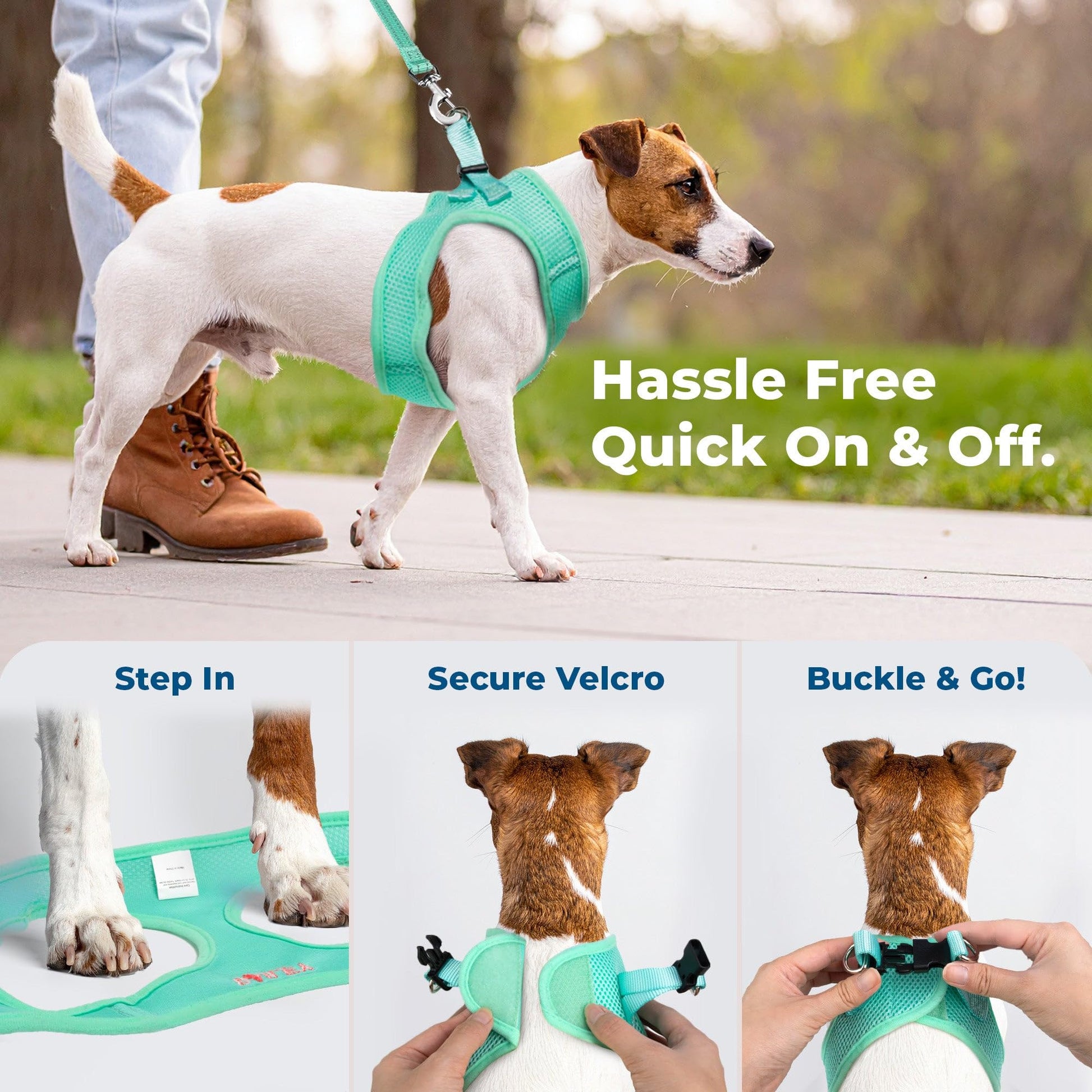 GoTags Personalized Step-in Air Harness, Comfortable Mesh No Pull Harness for Dogs and Cats, Quick Hook & Loop Fastener, Buck