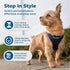 GoTags Personalized Step-in Air Harness, Comfortable Mesh No Pull Harness for Dogs and Cats, Quick Hook & Loop Fastener, Buck