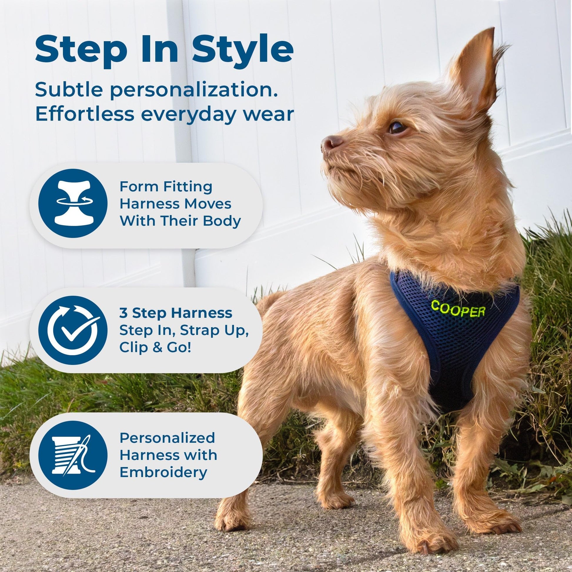 GoTags Personalized Step-in Air Harness, Comfortable Mesh No Pull Harness for Dogs and Cats, Quick Hook & Loop Fastener, Buck