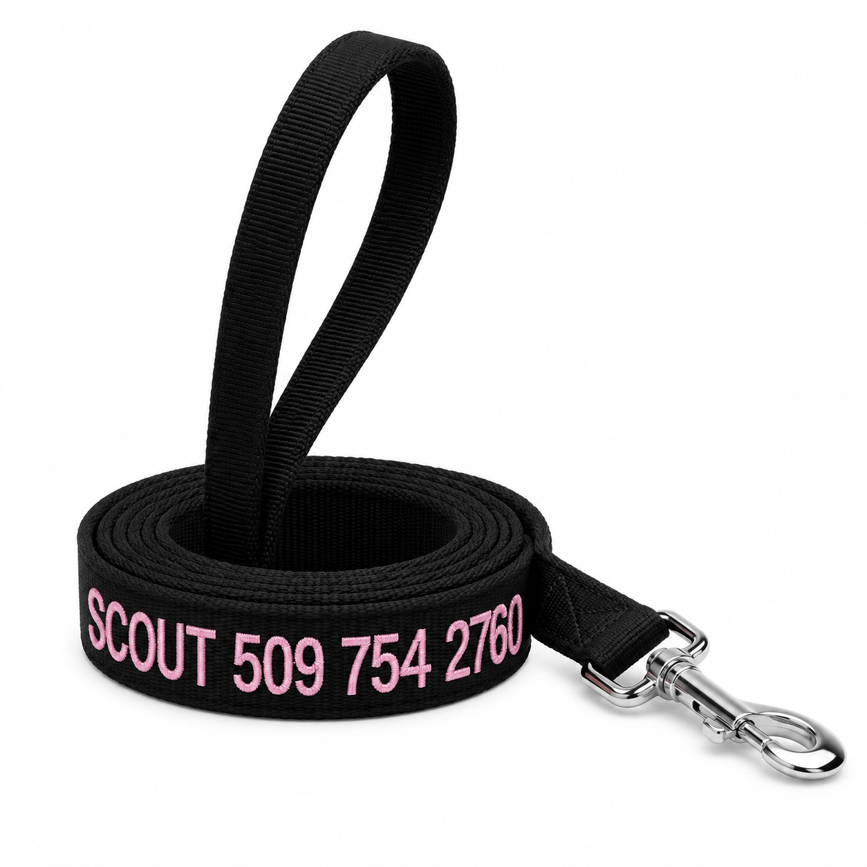 6 Foot Personalized Nylon Dog Leash