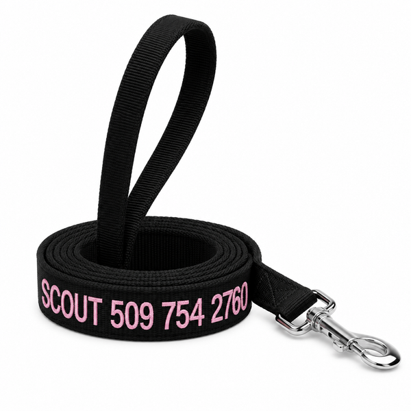 6 Foot Personalized Nylon Dog Leash