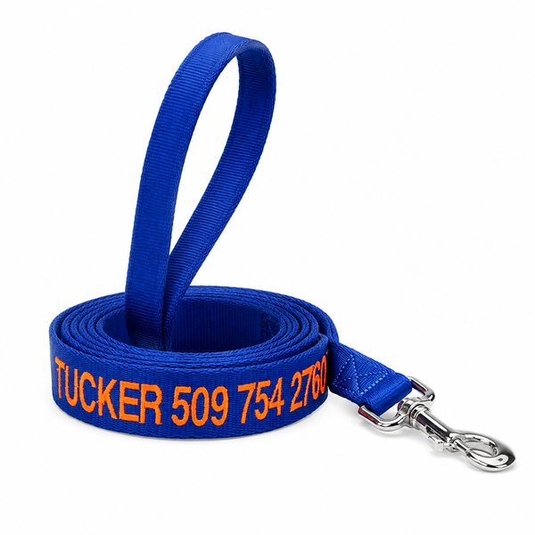 6 Foot Personalized Nylon Dog Leash