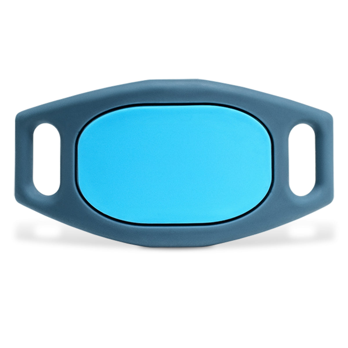 Silicone Silent Slide-On Pet ID Tag