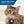 Load image into Gallery viewer, Cat Shaped Cat ID Tag
