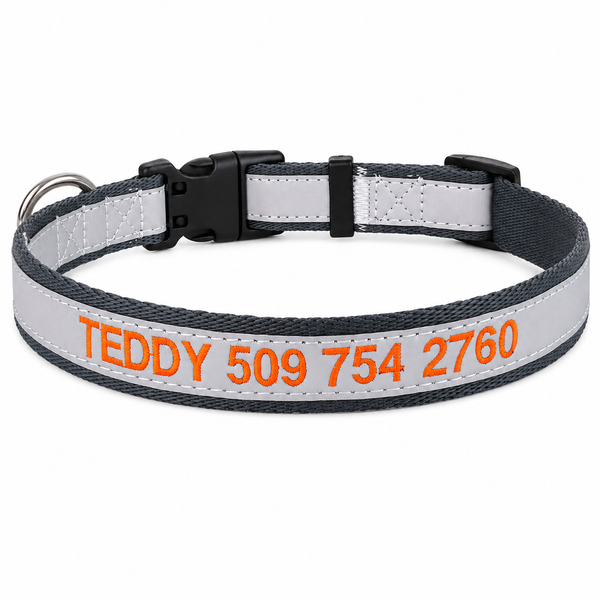 Personalized Reflective Dog Collar with Quick Release Buckle, Embroidered