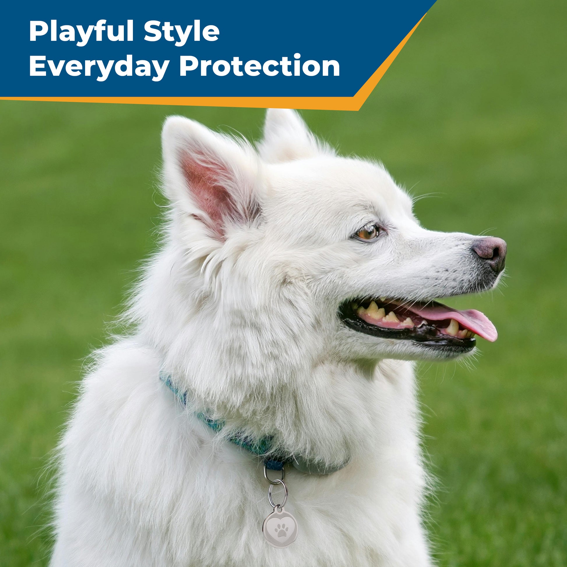 Embossed Pet ID Tag - 7 Designs