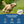 Load image into Gallery viewer, Heart Dog ID Tag with Enamel Paw
