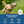 Load image into Gallery viewer, Round Dog ID Tag with Enamel Paw
