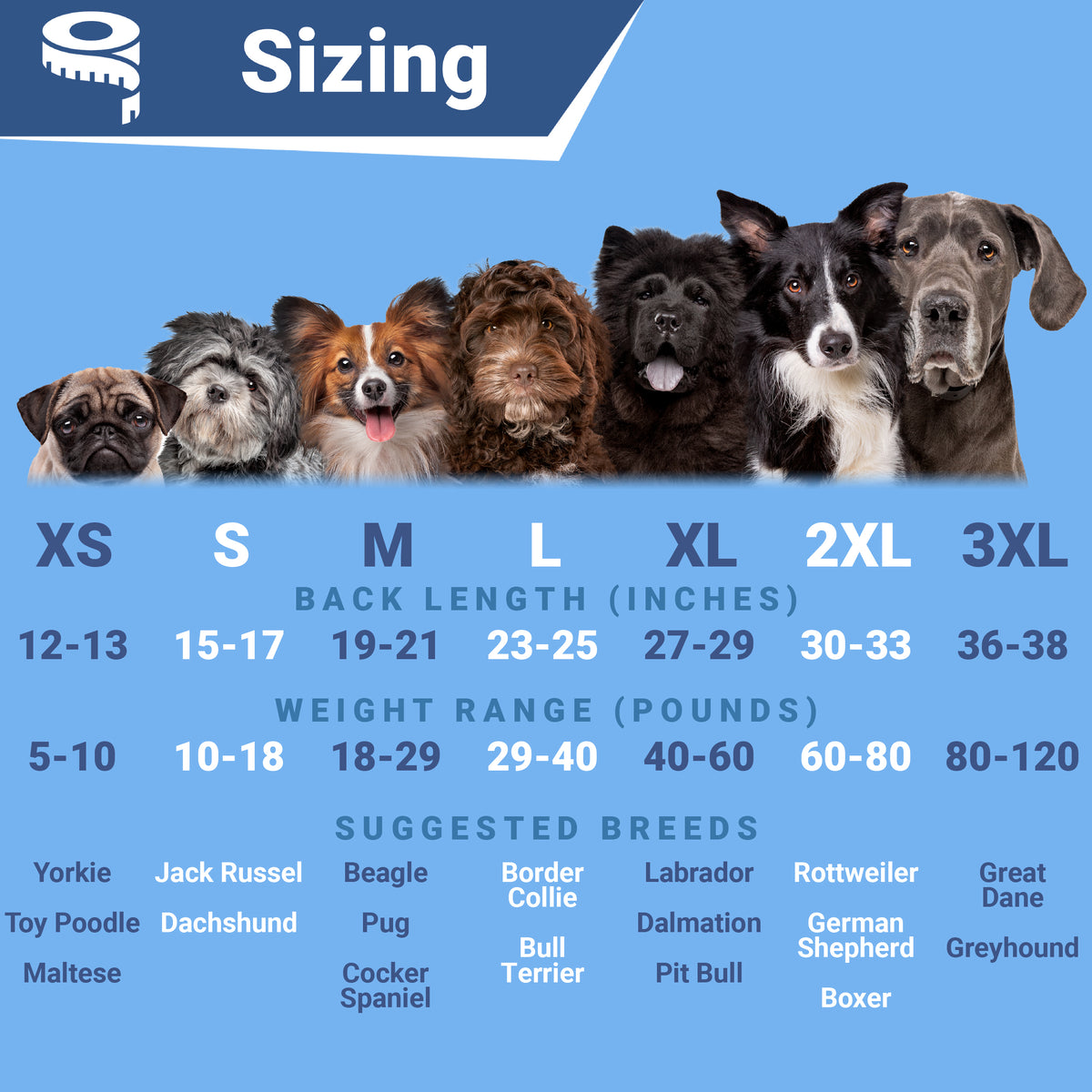 Size chart showing sweater sizes XS–3XL with body length, suggested weight ranges, and example dog breeds