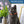 Load image into Gallery viewer, Cat Collar with Slide-On Silent Aluminum ID Tag, Safety Buckle and Bell
