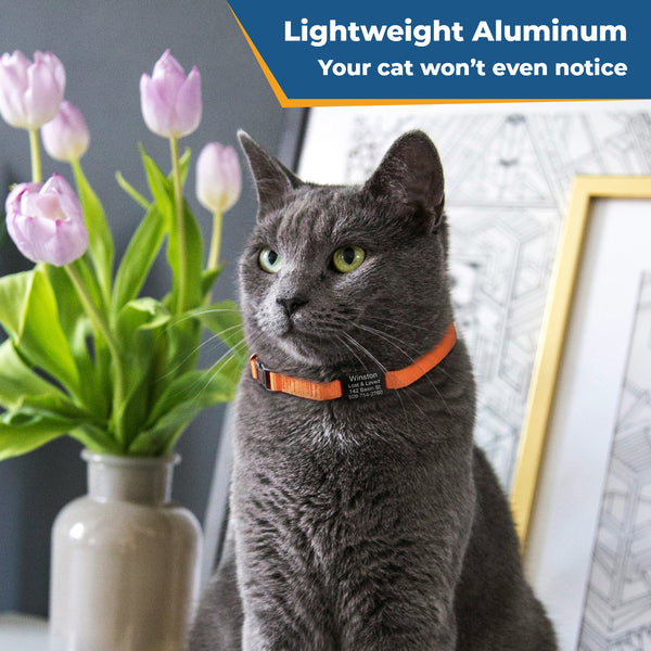 Cat Collar with Slide-On Silent Aluminum ID Tag, Safety Buckle and Bell