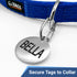 Close-up of stainless steel dog tag clip securing an engraved BELLA tag to a blue collar